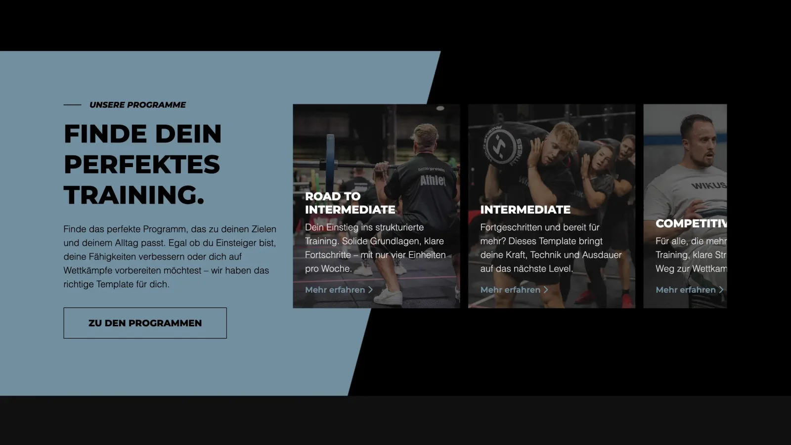 Echte WIKUS-Programming-Website mit unterscheidbaren Trainingsangeboten und Einstiegswegen