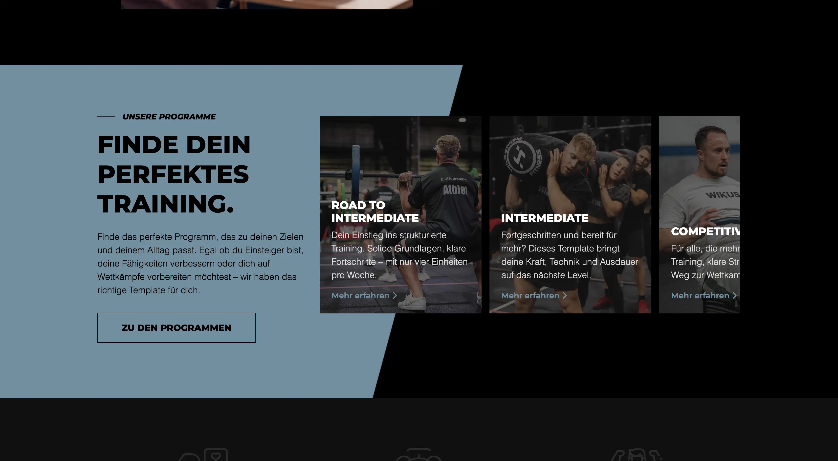 WIKUS Programming Angebotsübersicht